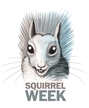 John Kelly's Squirrel Week